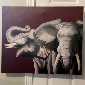 Alabama elephant picture/painting